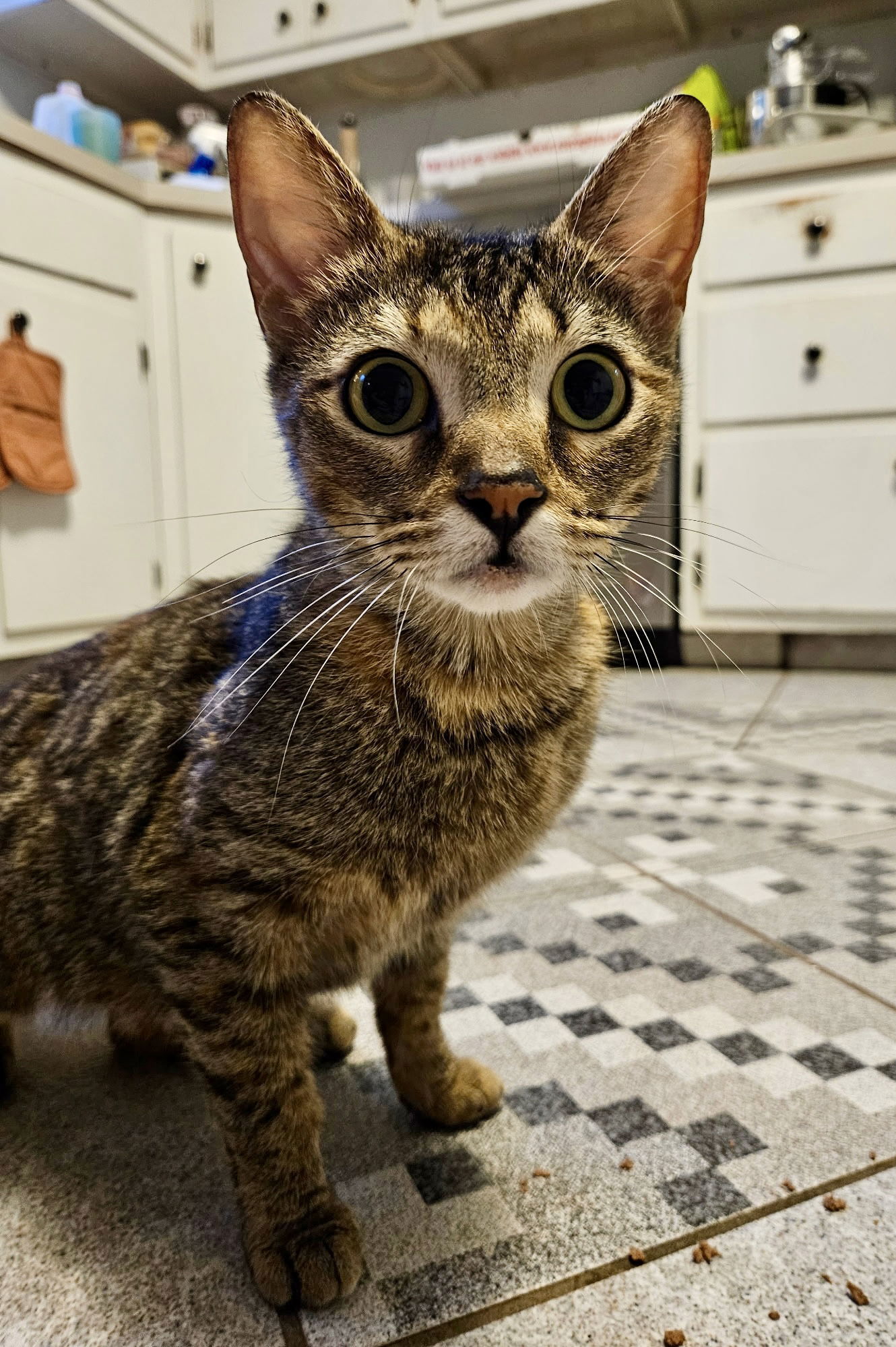 Minnie