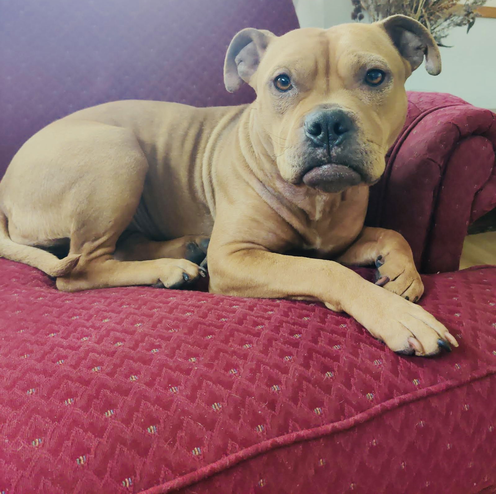 Sweetie Pie