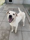 Max photo 3