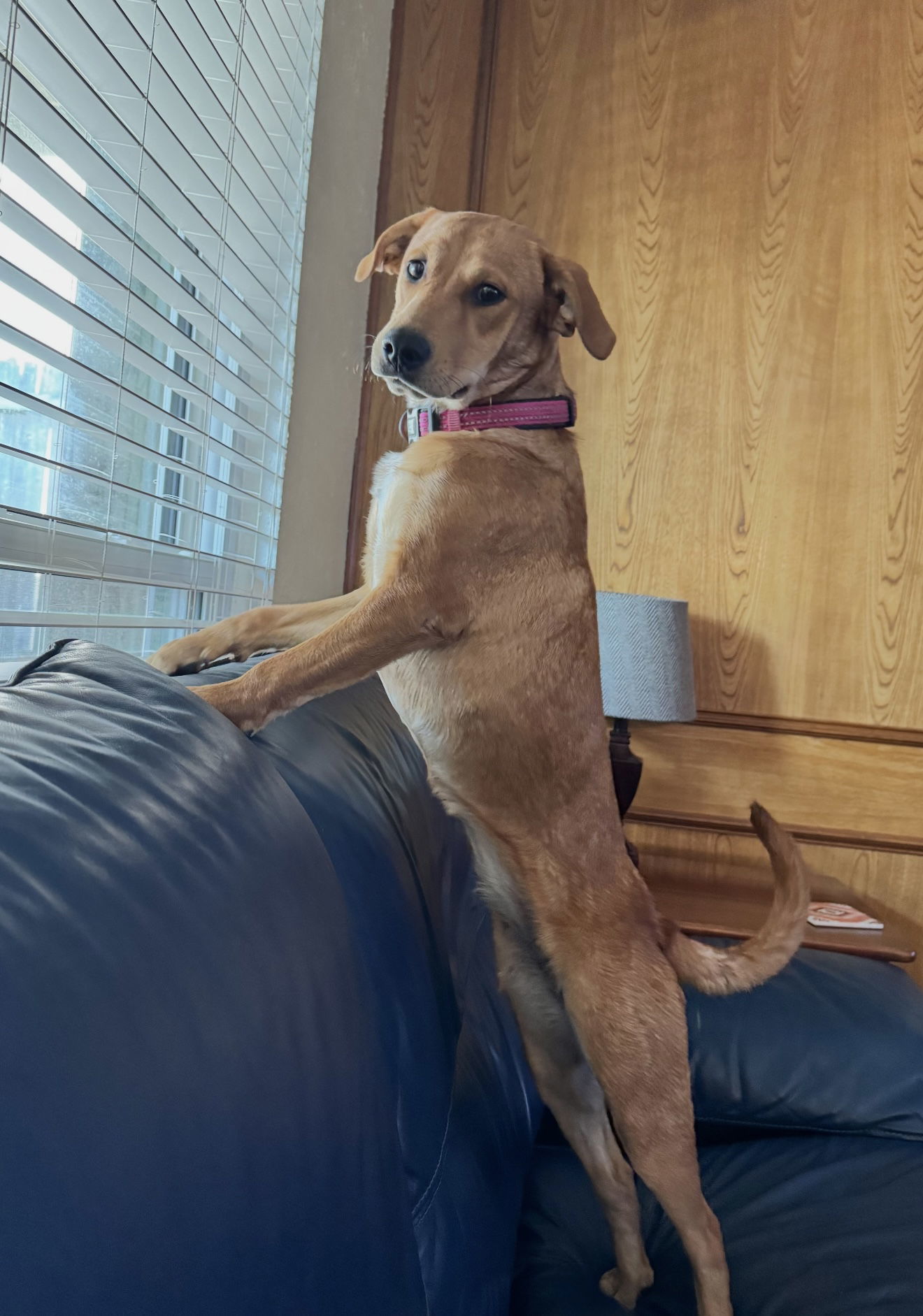 Penny