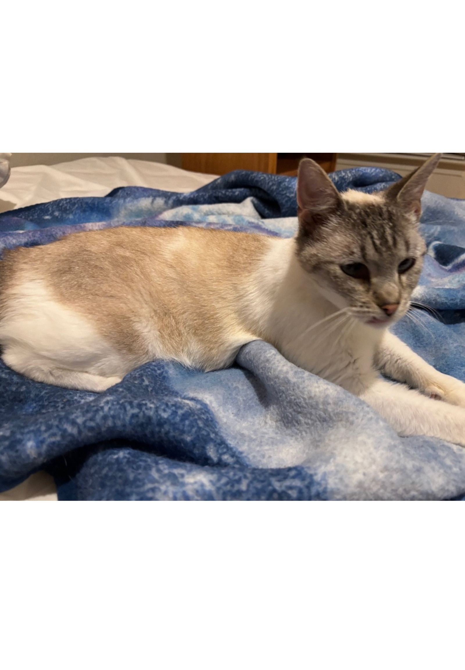 Luna - Courtesy Post
