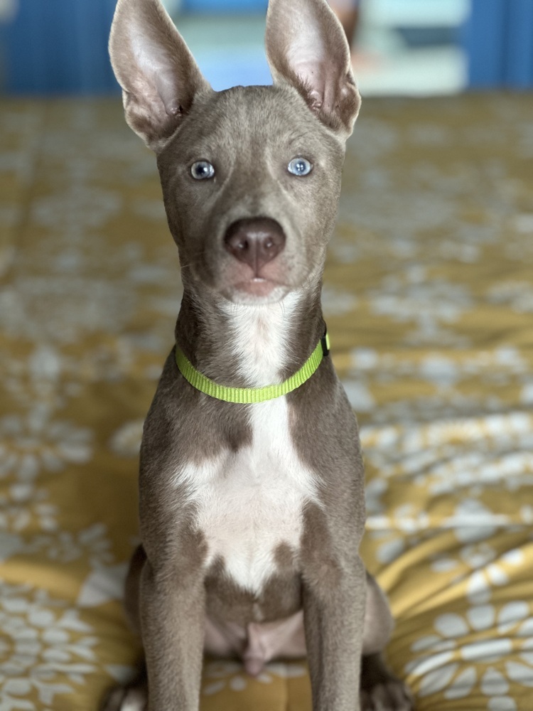 Blue from The Hole