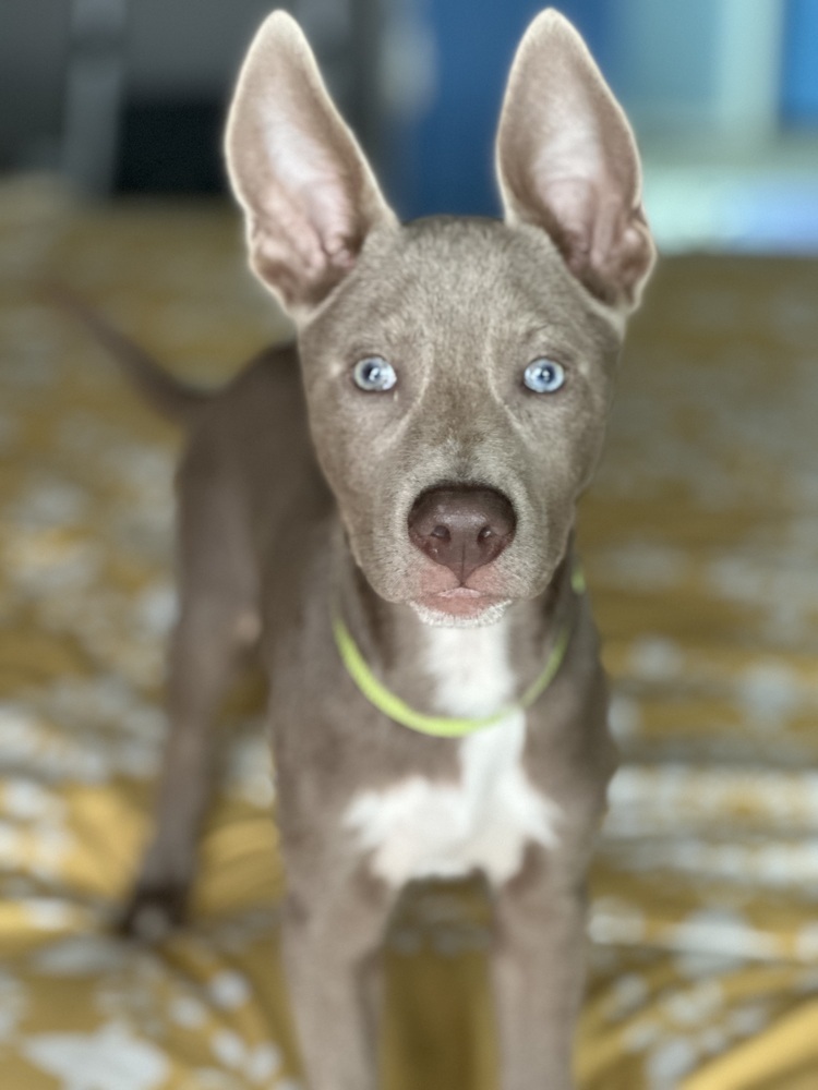 Blue from The Hole