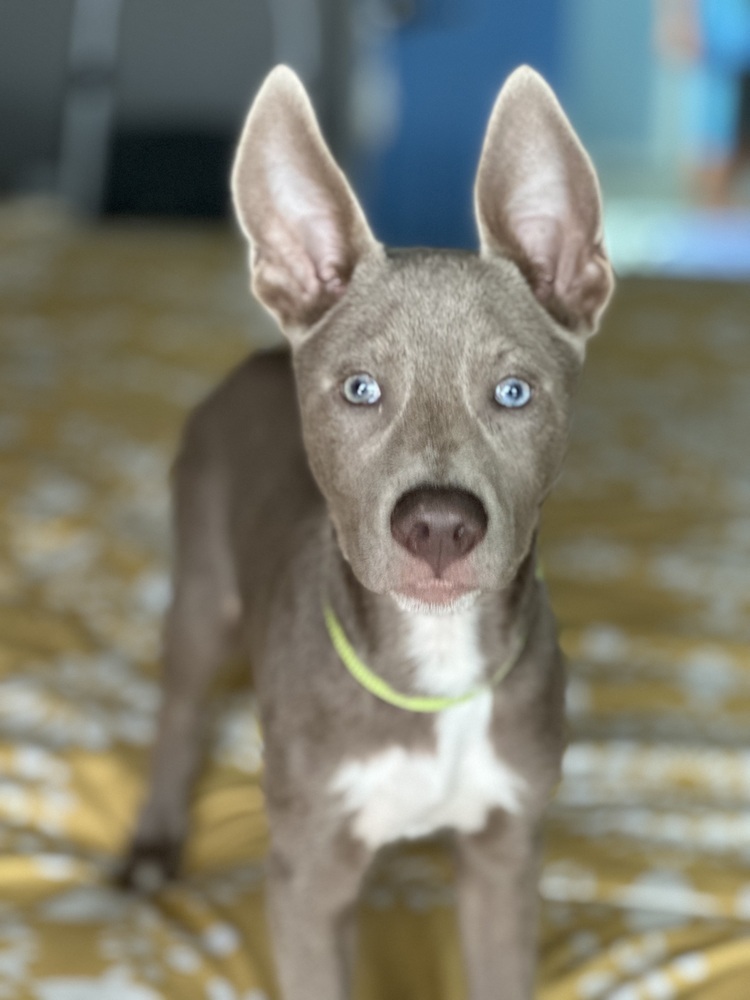 Blue from The Hole