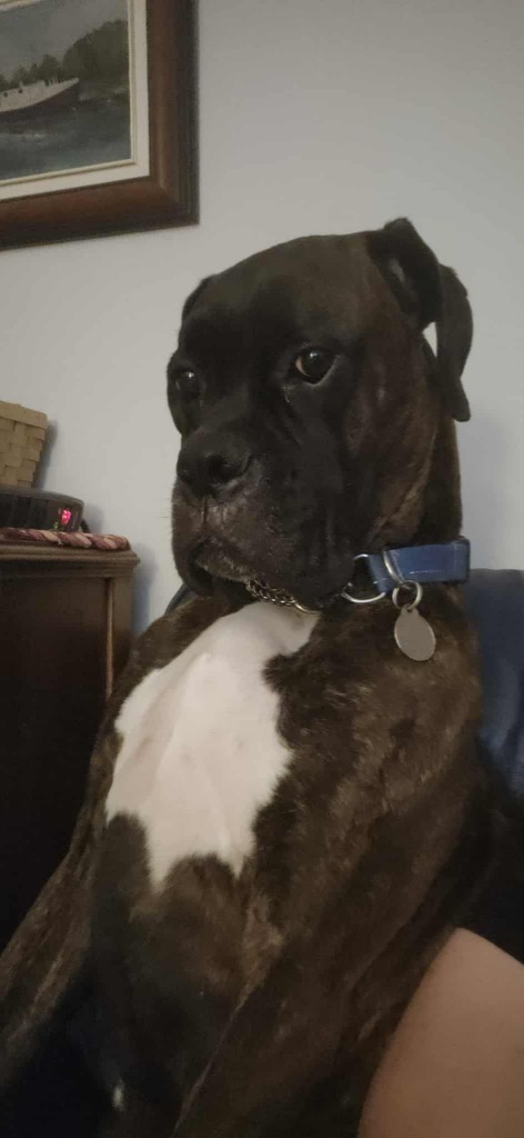 Riggs