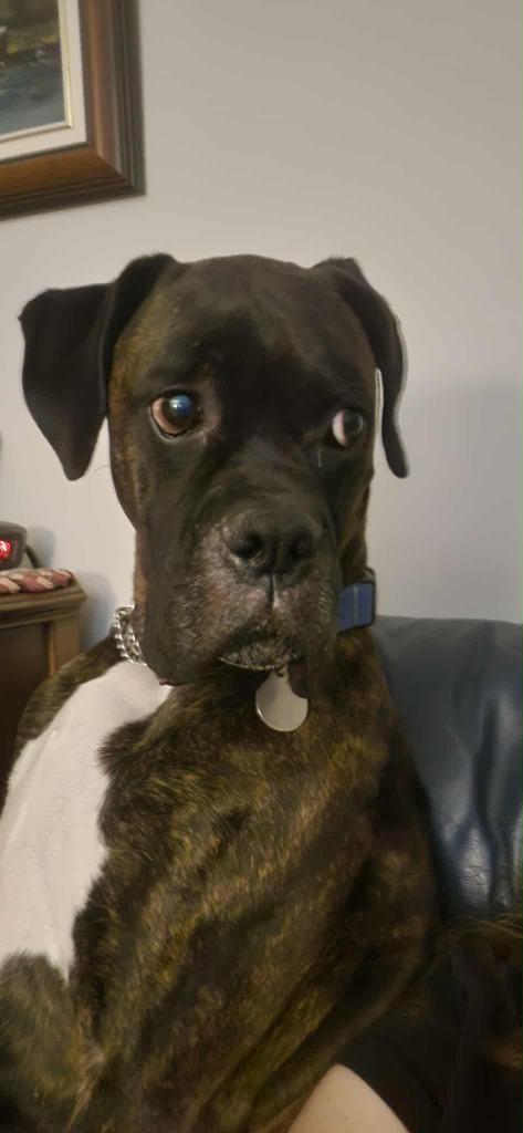 Riggs