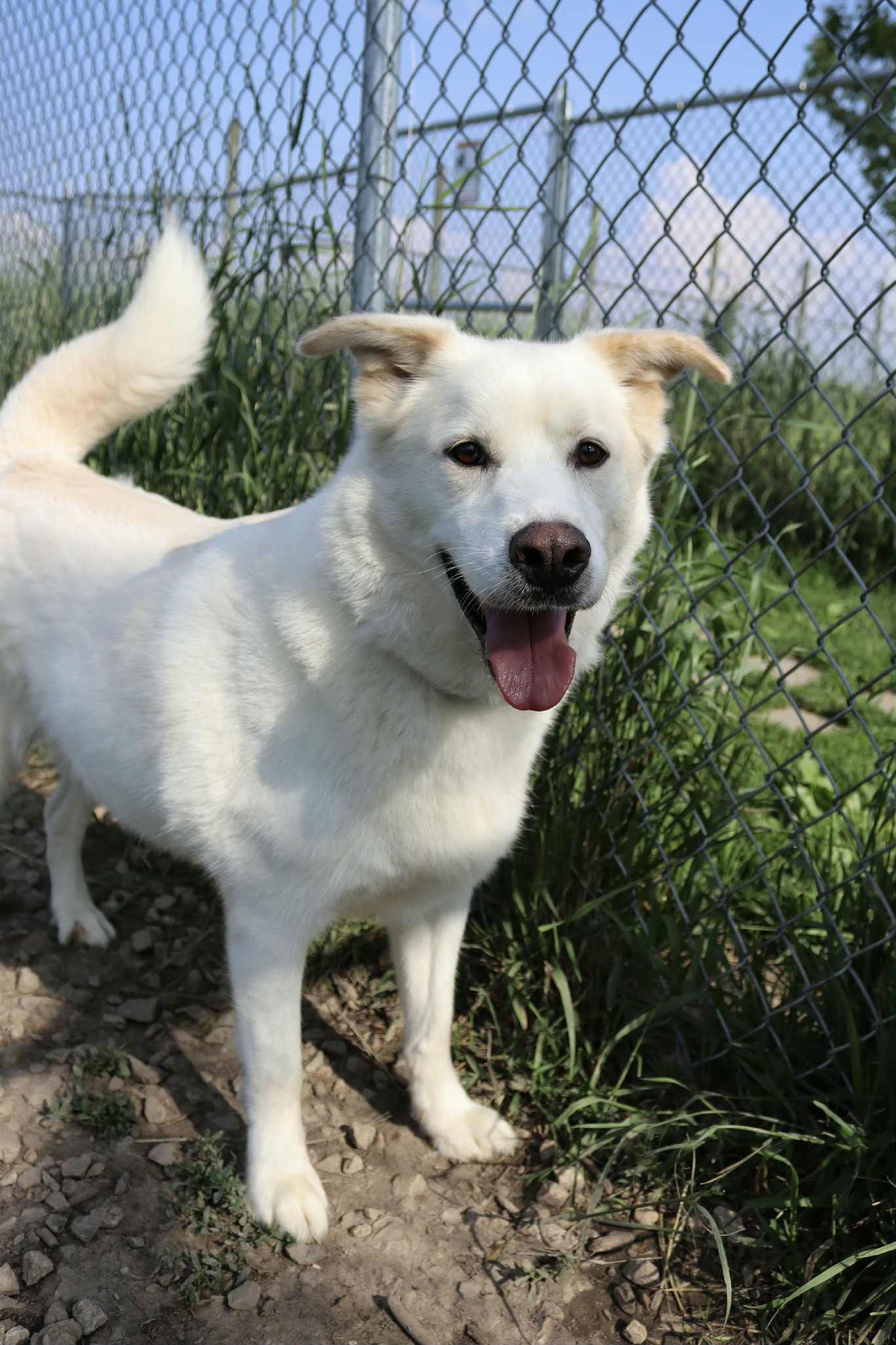 Duke
