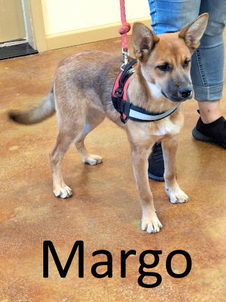 Margo