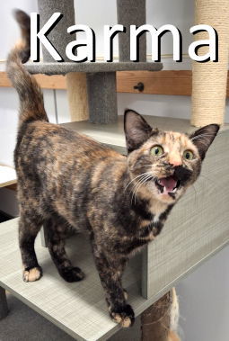 Karma