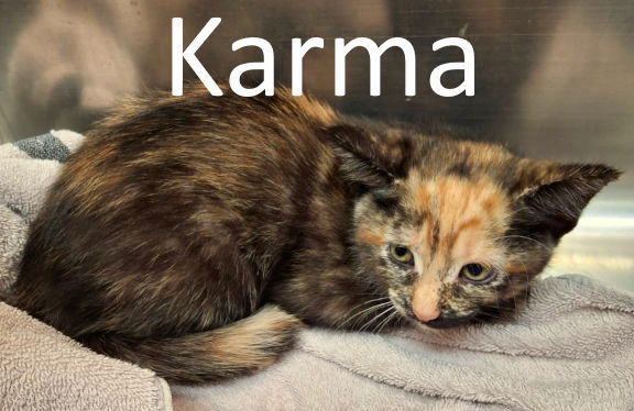 Karma
