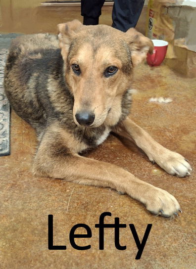 Lefty