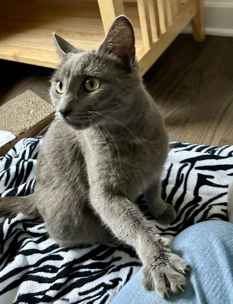 Slate