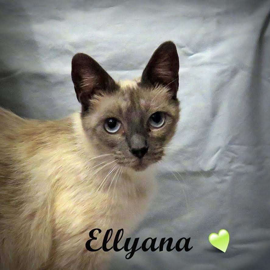 Ellyana