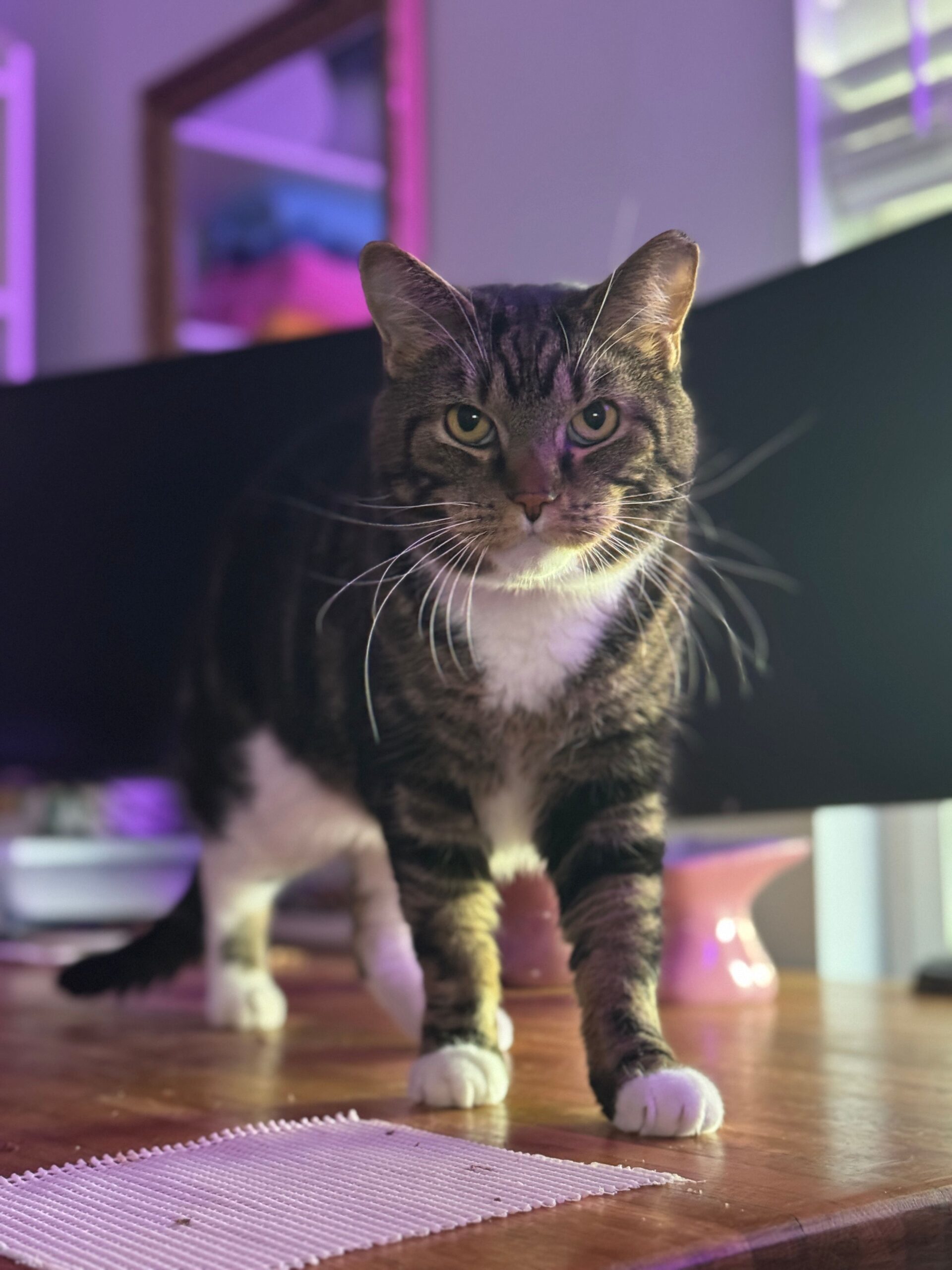 Mr. Beau