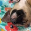 Tiny photo 2