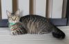 Lucy - 41627 photo 1