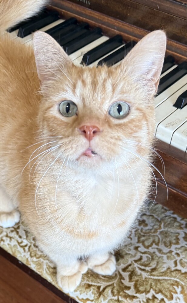 Billy (25-111 C)