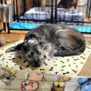 Winston photo 3