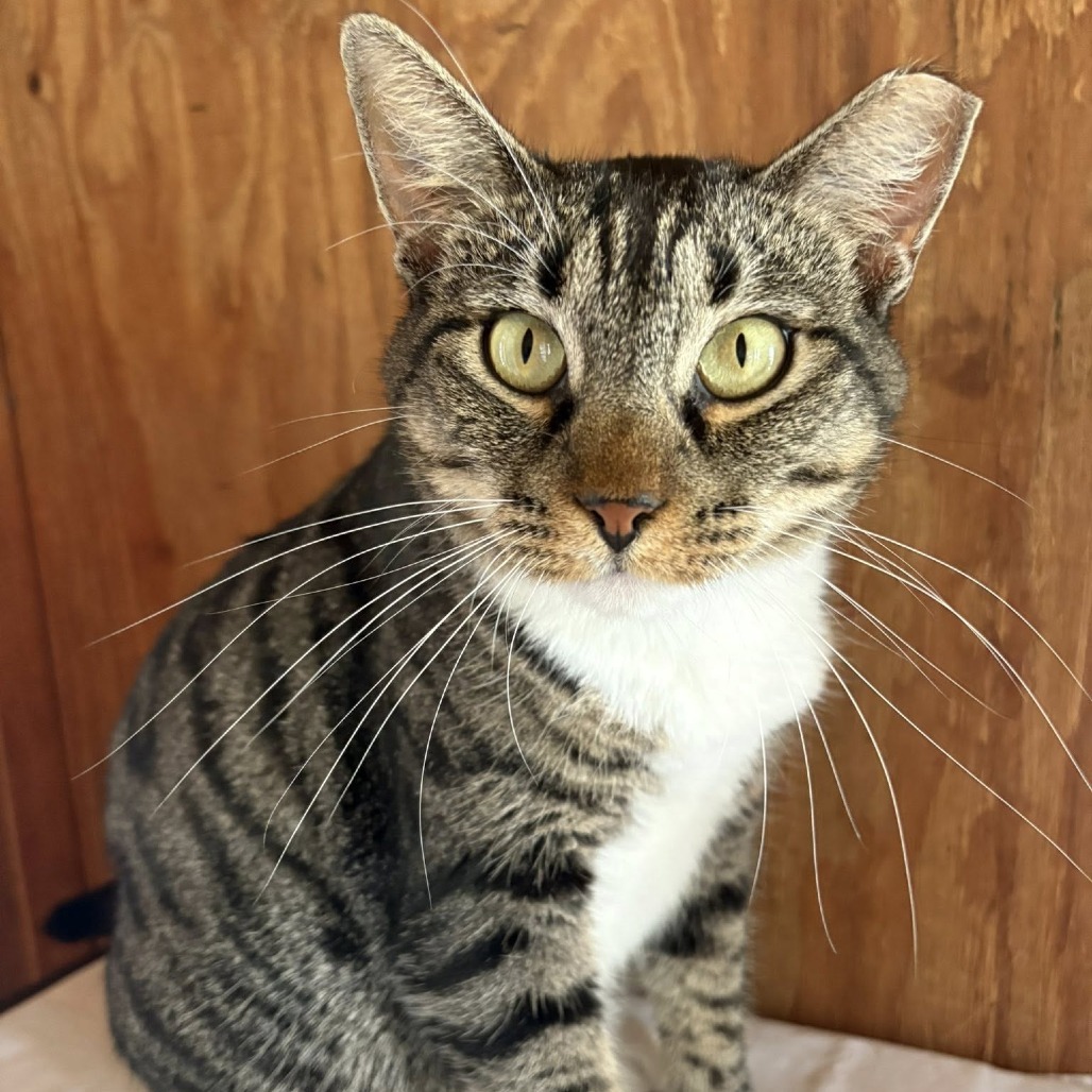 Mimi