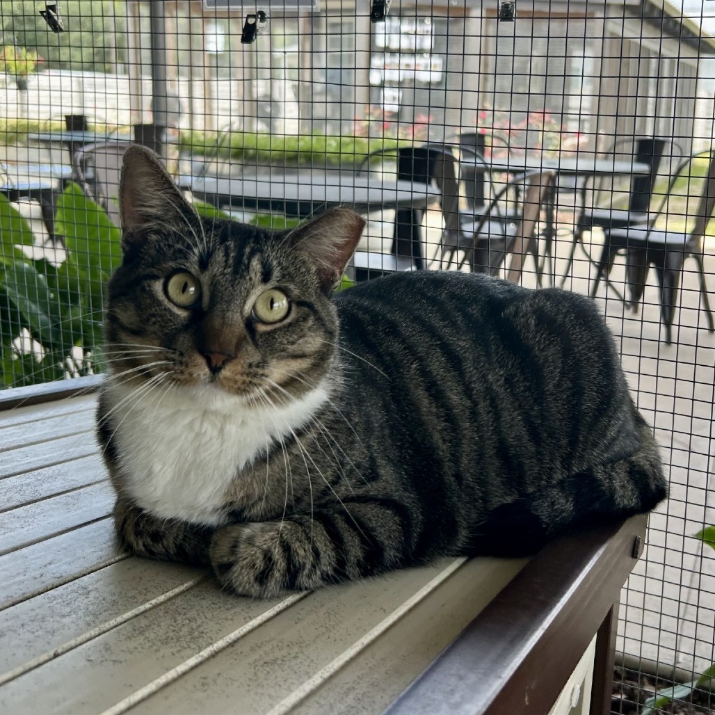 Mimi
