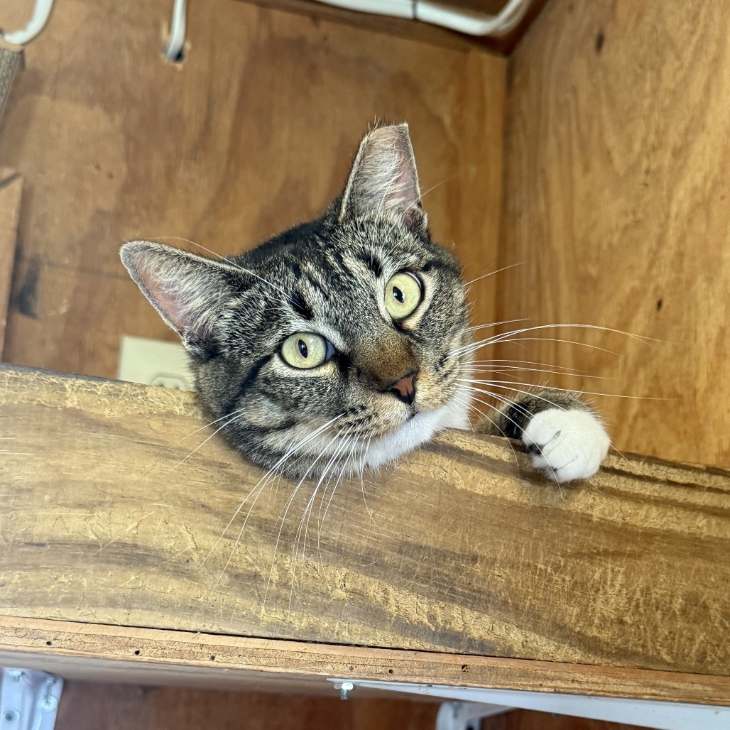 Mimi