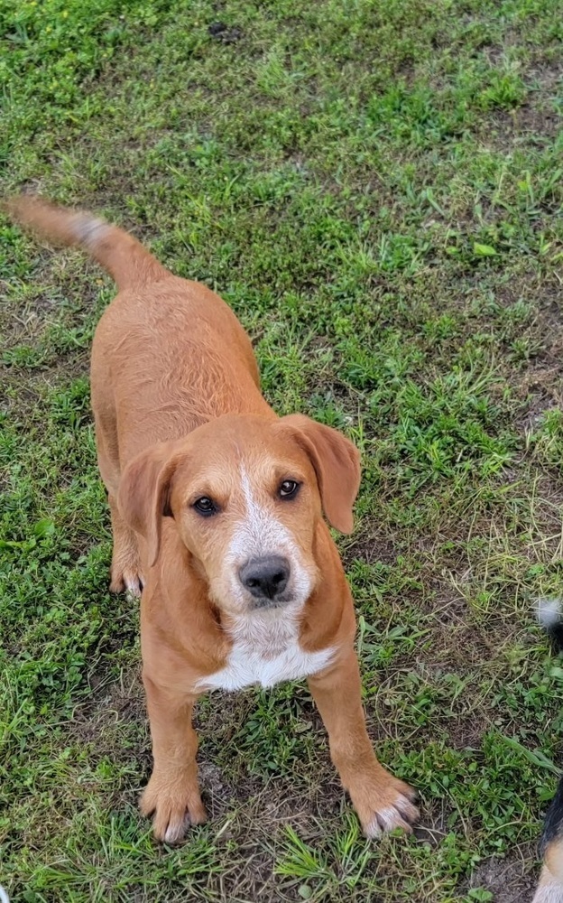 Bruce