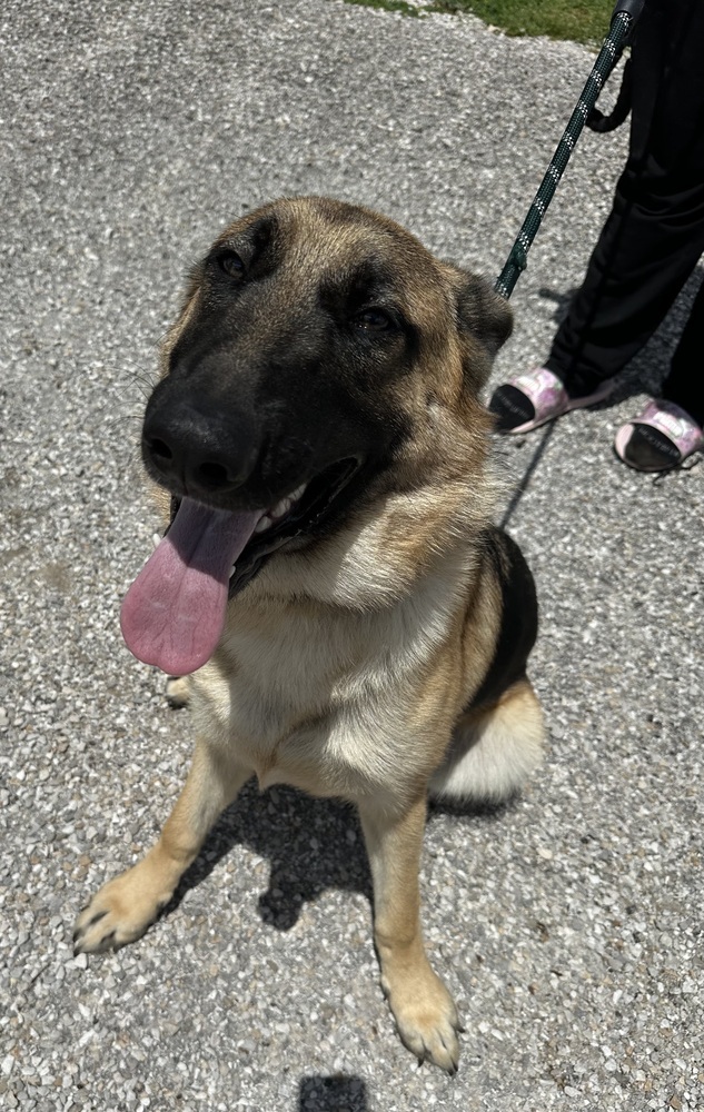 Odin