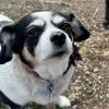 Molly D64960 photo 5