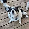 Molly D64960 photo 6