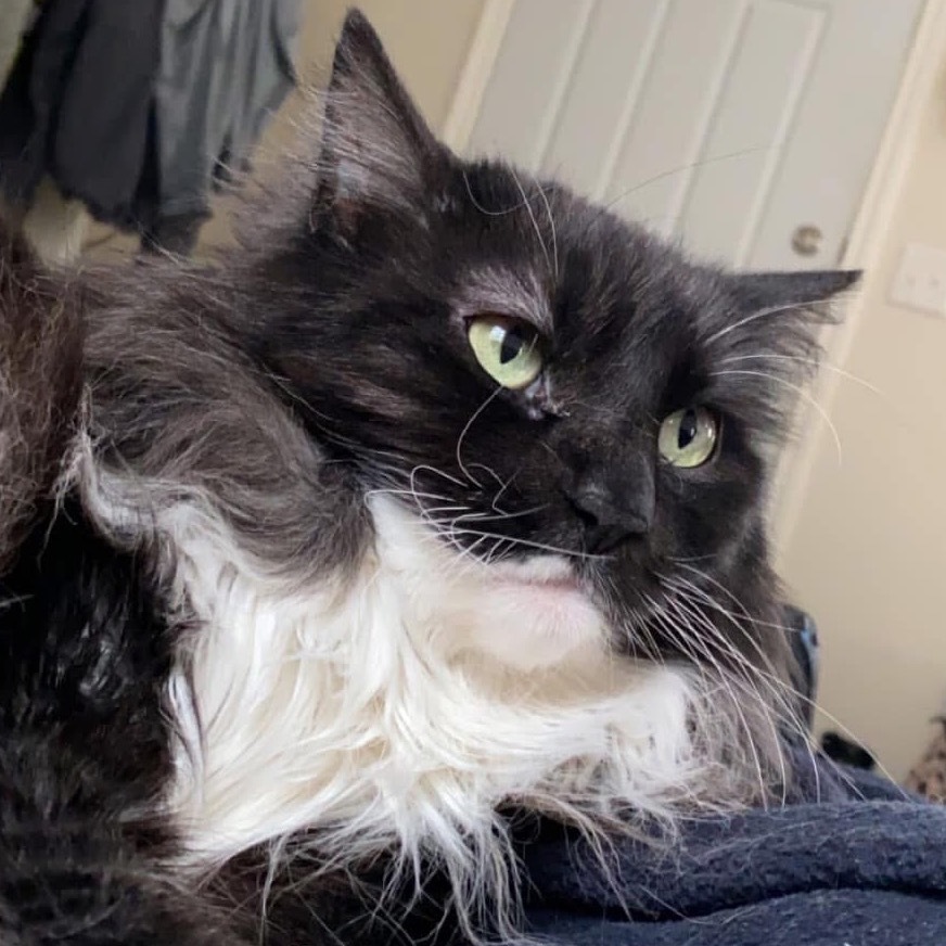 Rosie