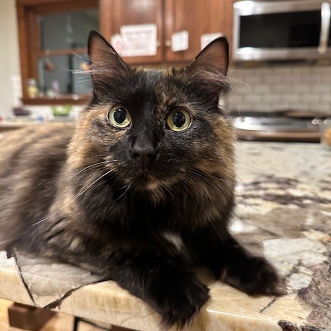 Lucy