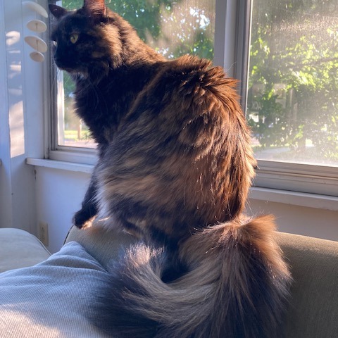 Lucy