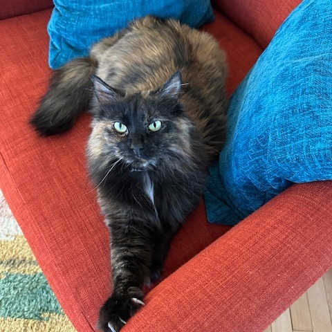 Lucy