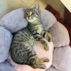 Frida 5147 photo 1