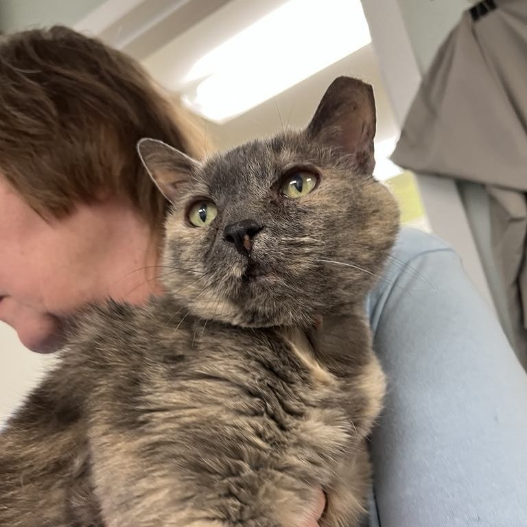 Lilou