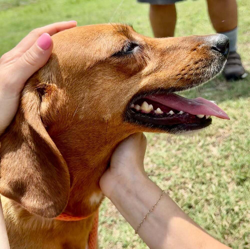 Rosie