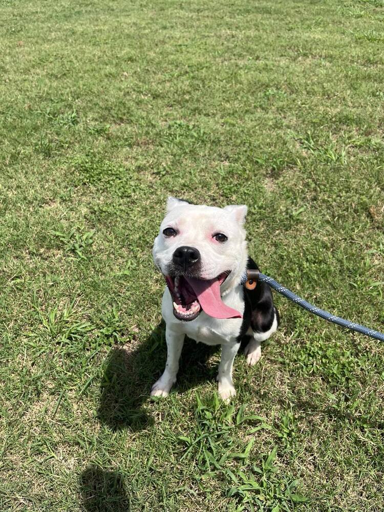 Luna