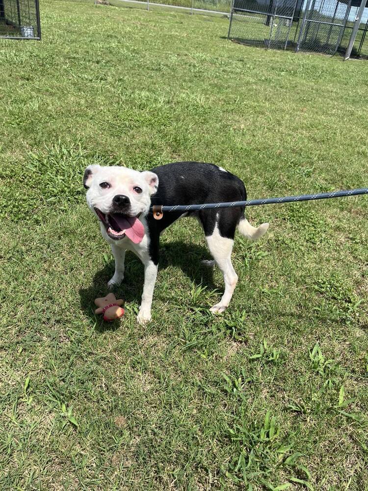 Luna