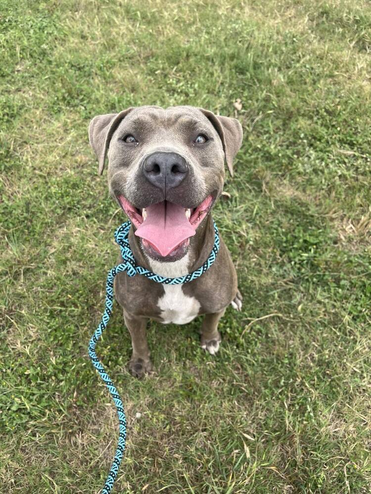 Sadie