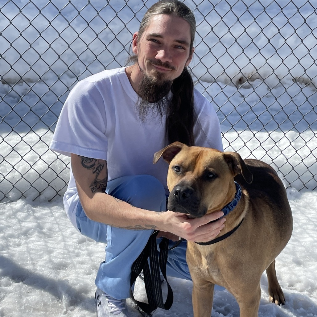 Whiskey 240854, an adoptable Mixed Breed in Escanaba, MI, 49829 | Photo Image 3