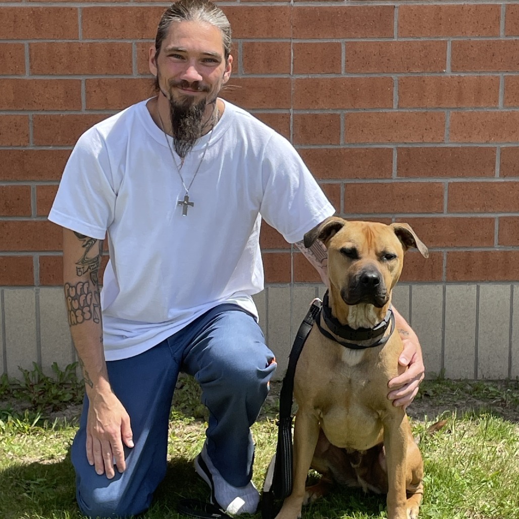 Whiskey 240854, an adoptable Mixed Breed in Escanaba, MI, 49829 | Photo Image 6