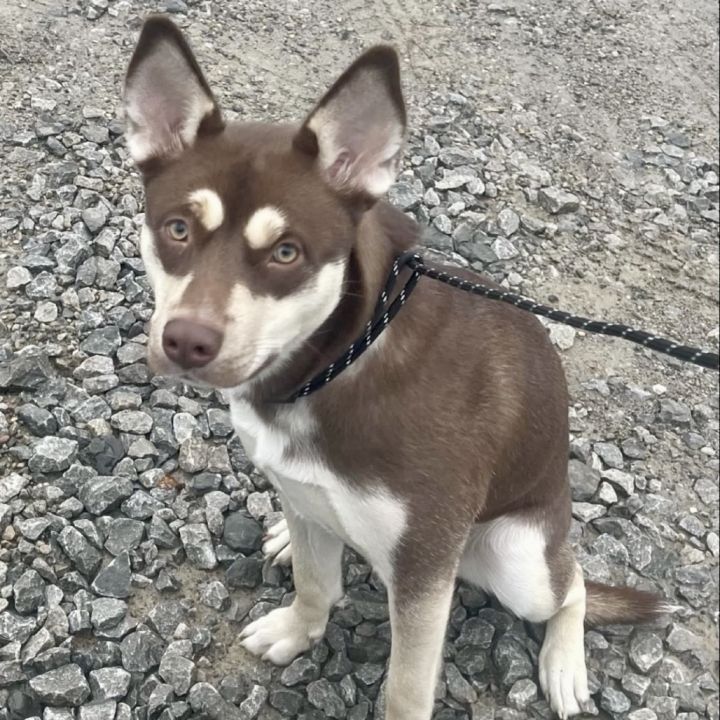Tara 2