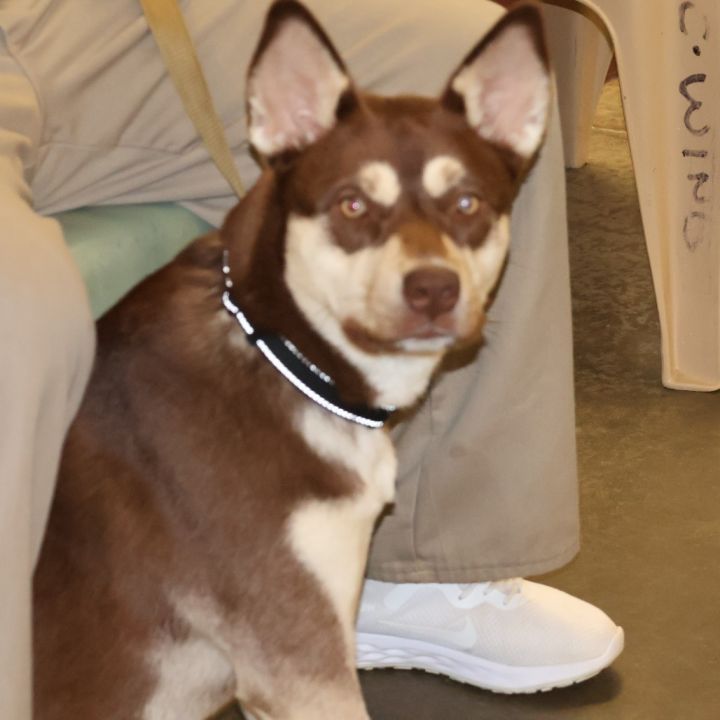 Tara 3