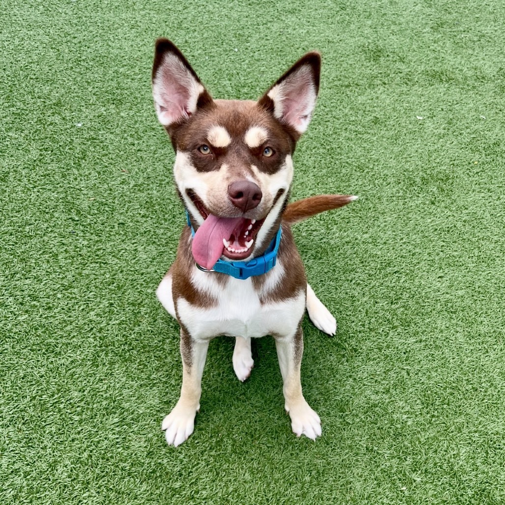 Tara