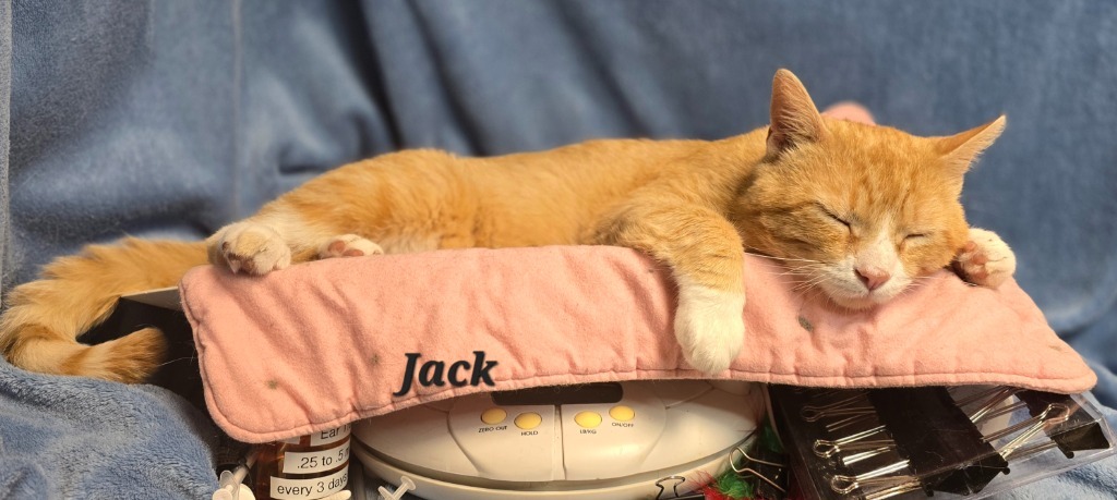 Jack