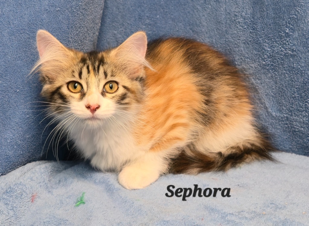 Sephora