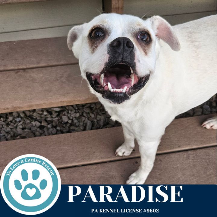 Paradise 053125 1