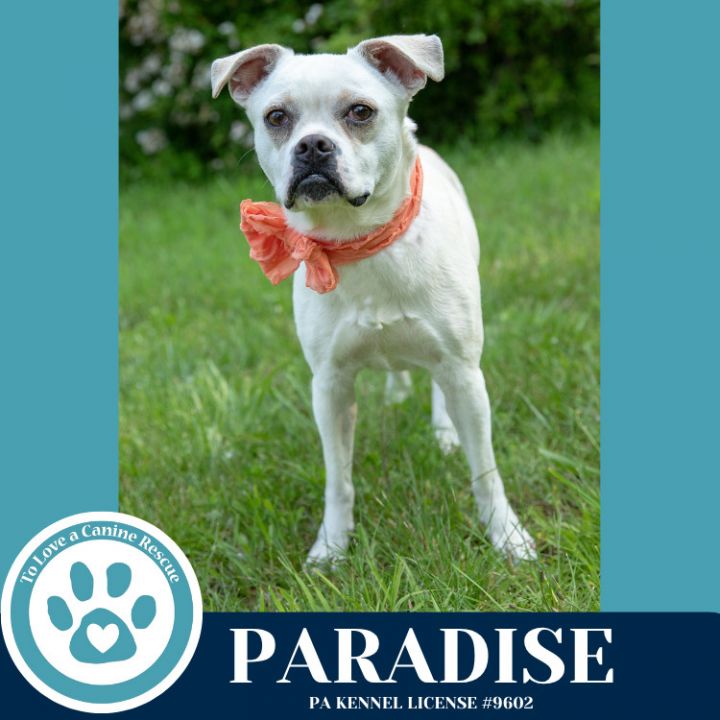 Paradise 053125 2