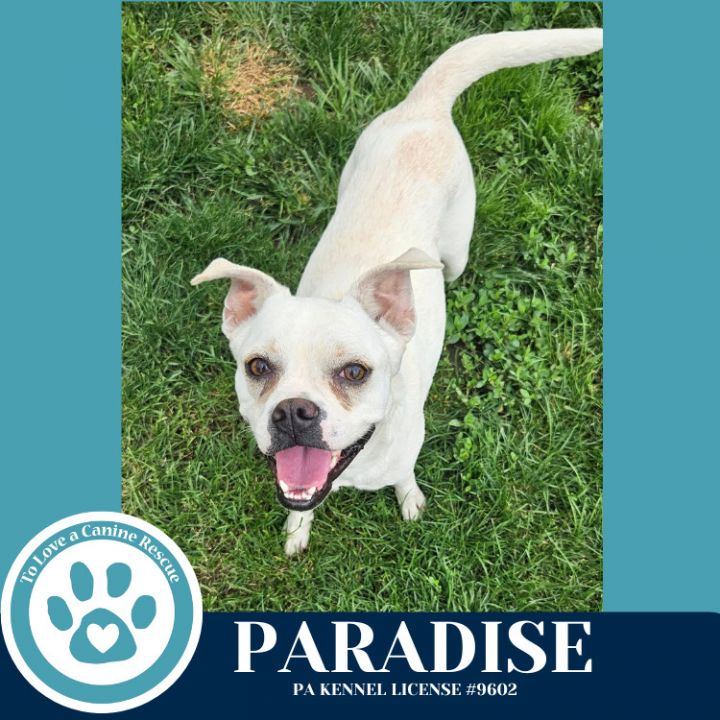 Paradise 053125 4