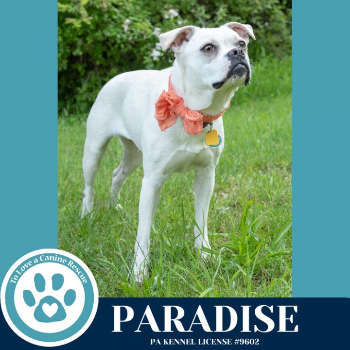 Paradise 053125 5
